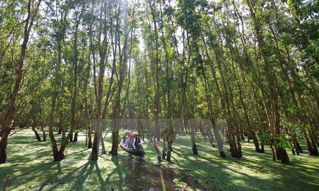 An Giang province greets 600,000 visitors during Tet