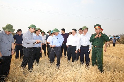 Deputy Prime Minister inspects drought mitigation efforts in Gia Lai 