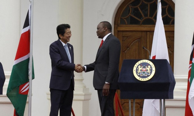 Japan defines priorities for cooperation with Africa