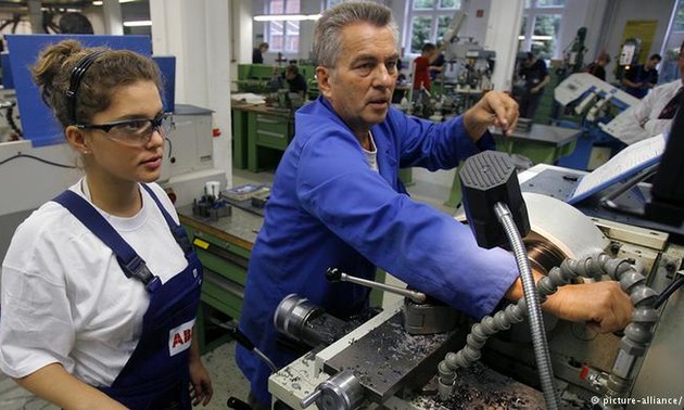 Germany’s employment rate hits record high since 1990