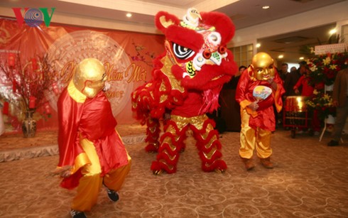 Overseas Vietnamese celebrate Lunar New Year festival