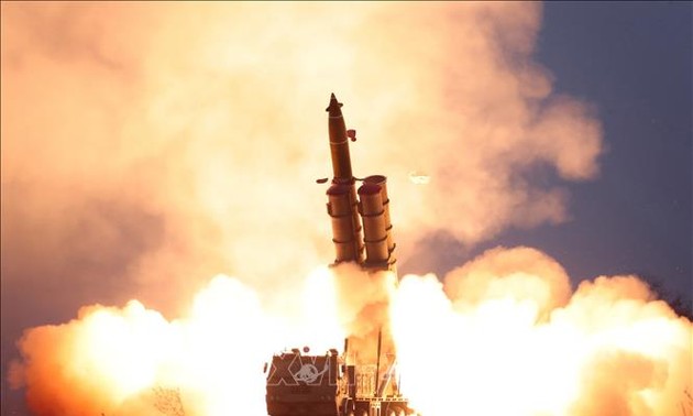 North Korea confirms successful test of ‘super-large’ multiple rocket launcher 
