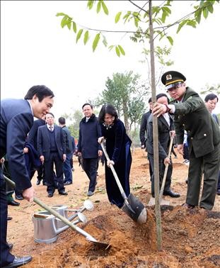 Vietnam launches tree-planting festival 