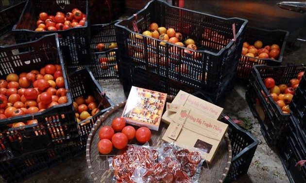 Persimmons – a specialty of Da Lat in Vietnam’s Central Highlands