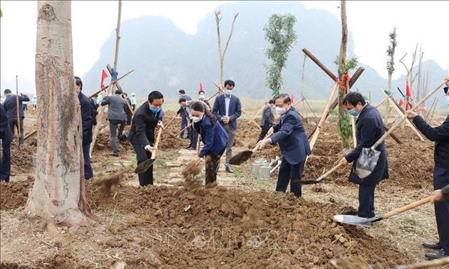 Vietnam launches tree planting festival to support 1 billion tree program