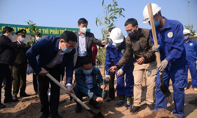 Vietnam creates digital map to manage trees