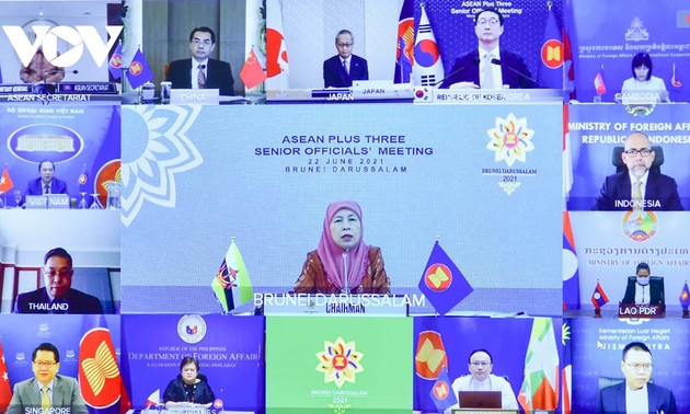 ASEAN+3 SOM: Vietnam calls for cooperation to fight COVID-19
