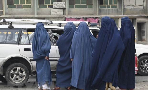 Taliban promise to find Government seats for women in future 