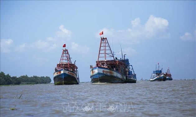 EC to review Vietnam's efforts to fight IUU fishing on October 27 