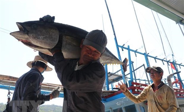 Tuna industry grows 16% in 2021