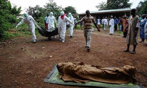 Das Ebola-Virus kostet das Leben von mehr als 1200 Menschen in Afrika