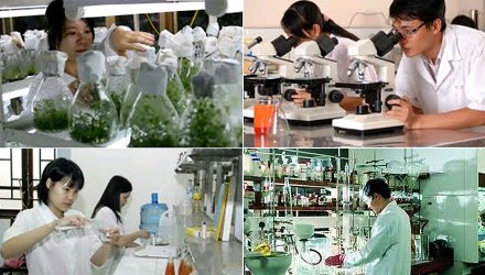 Vietnam fördert die Erforschung und Entwicklung von Wissenschaft und Technologie