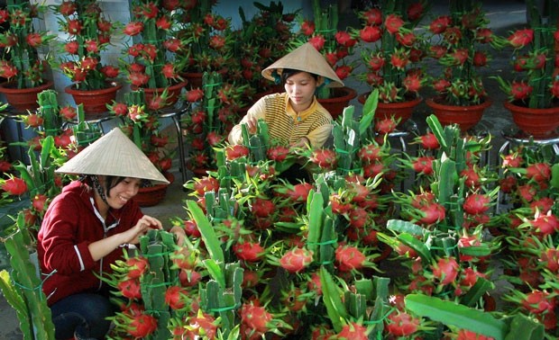 Weltbank hebt die Prognose über das Wirtschaftswachstum Vietnams