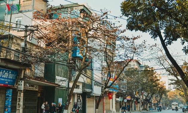 Besondere Attraktionen der Stadt Hanoi bei Touristen