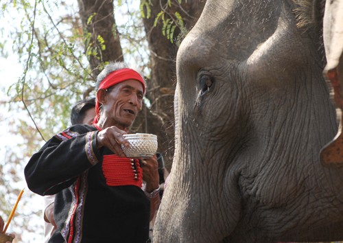 Die Elefantenverehrungszeremonien der M’nong im Dorf Don