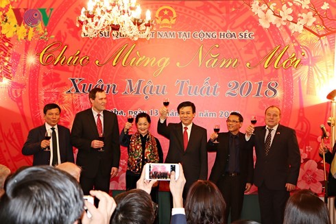 Aktivitäten der Auslandsvietnamesen in der Welt zum Neujahr