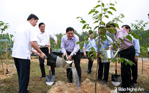 Premierminister Nguyen Xuan Phuc startet das Baumanpflanzfest in Nghe An