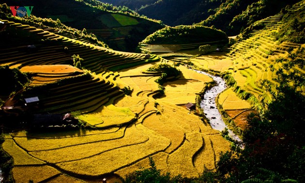 Dokument zur Anerkennung der Reisterrassen in Mu Cang Chai als besondere Nationalstätte