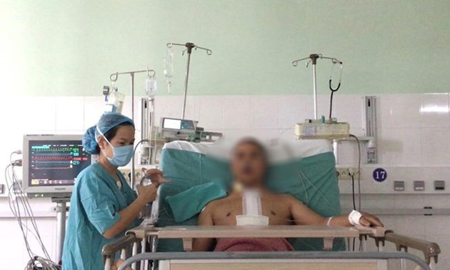 Zentralkrankenhaus Hue führte mehr als 800 Organtransplantationen erfolgreich durch