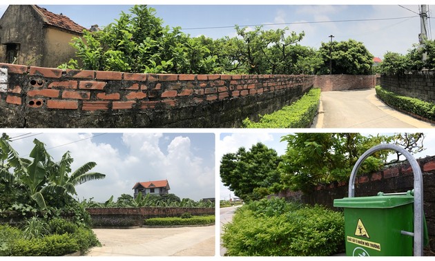 Gemeinde Viet Dan ist erstes Model bei Neugestaltung ländlicher Räume in Vietnam