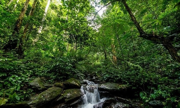Nationalpark Pu Mat als Heritage Park der ASEAN aufbauen