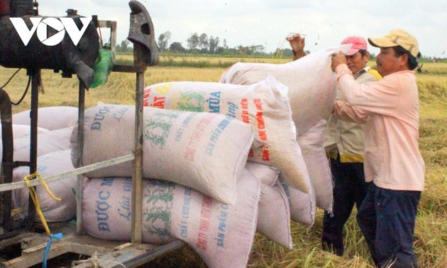 Vietnam exportierte etwa 6,15 Millionen Tonnen Reis im Jahr 2020