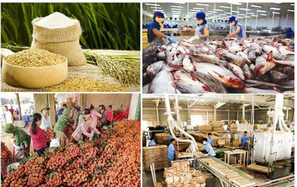Export von landwirtschaftlichen Produkten Vietnams wächst