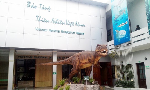 Entdeckung des vietnamesischen Naturmuseums