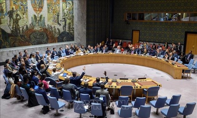 Effektive Beiträge Vietnams zu Angelegenheiten des UN-Sicherheitsrates