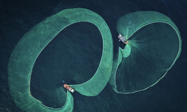 Vietnams Fotograf Nguyen Ngoc Thien gewinnt den besten Preis der Unterwasserfotografie