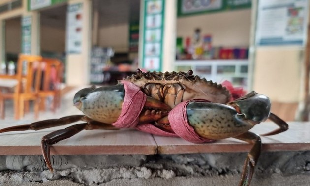 Krabbenfest in Ca Mau 
