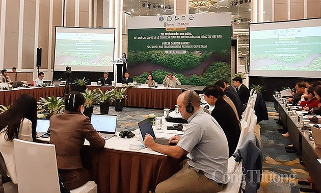 Aufbau des Marktes für CO2-Zertifikate in Vietnam