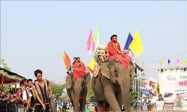 Elefanten-Fest im Kreis Buon Don erneuern