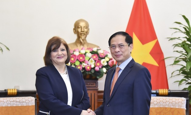 Außenminister Bui Thanh Son empfängt der ägyptischen Botschafterin in Vietnam
