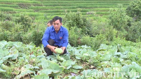 Jugendliche in Lao Cai nutzen Vorteile der Gegend für Existenzgründung 