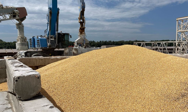 Ukraine will Getreide über Kroatien ausführen