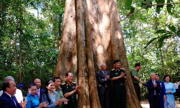 Binh Phuoc: Anerkennung der 162 Erbebäume Vietnams