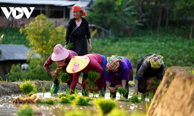 Reisfelder in Mu Cang Chai in Bewässerungszeit