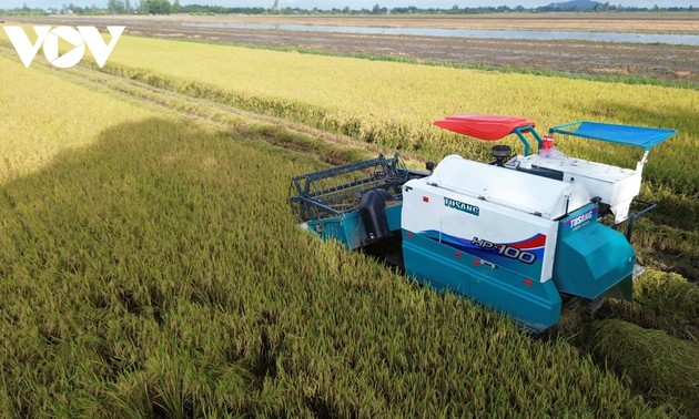 Gute Ergebnisse der Entwicklung emissionsarmer Reisanbaufläche 