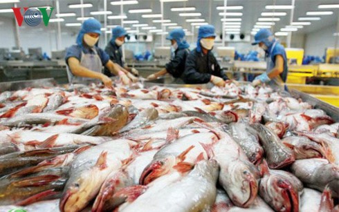 First tra fish fair in Hanoi helps expand overseas market