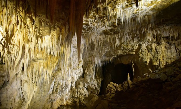 Dozens of new caves found in Phong Nha-Ke Bang national park