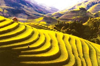 Mu Cang Chai terrace fields among world’s most colorful places