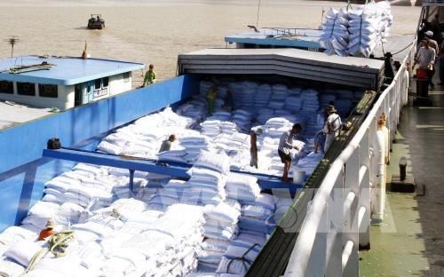 An Giang seeks to export rice, fruit  to the US