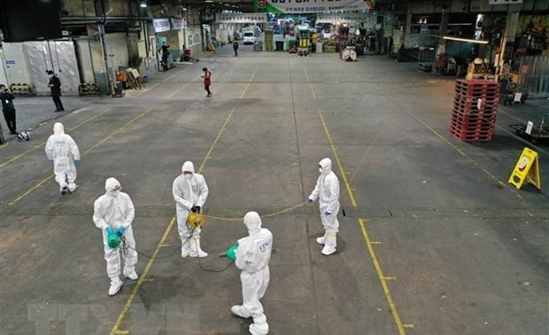 Vietnamese advised to avoid travel to coronavirus-hit areas in RoK