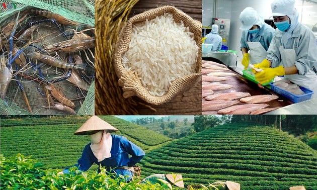 Vietnam to meet 2020 target of 40 billion USD from agricultural export 