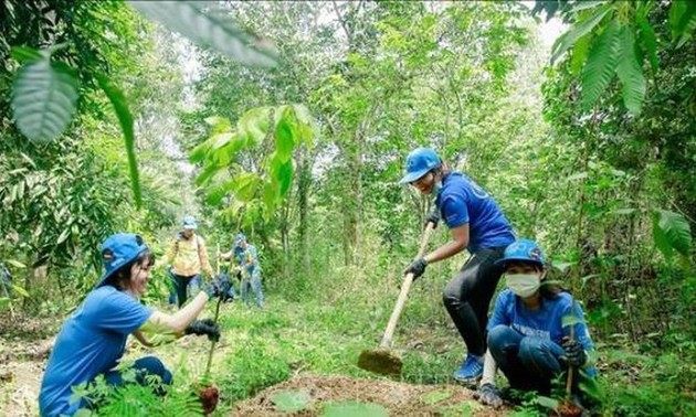 Vietnam to plant 1 billion new trees to cope with climate change, natural disasters 