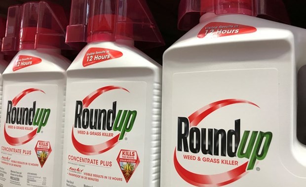 US court denies appeal in Roundup cancer case