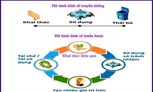 Vietnam seeks ways to promote circular economy 