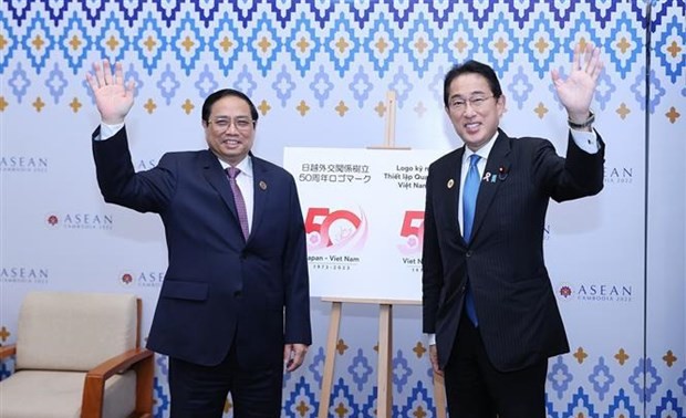 Japan to open for Vietnamese longan 