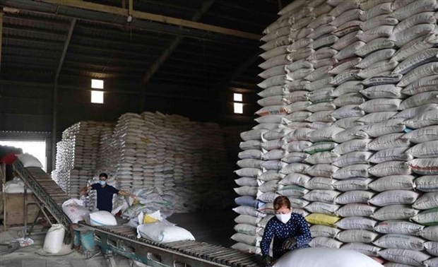 Price for Vietnam’s rice for export highest in 2 years